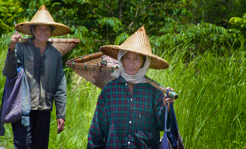 Deux paysannes thailandaises redescendent des champs