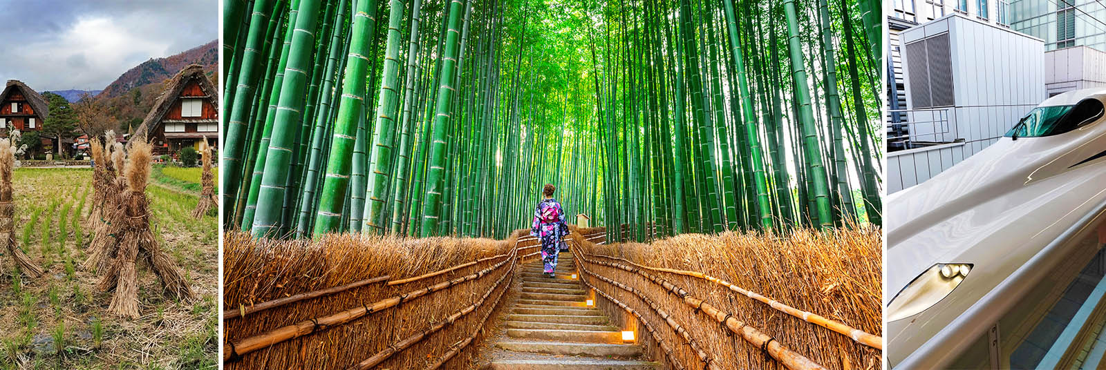illustracion de un articulo sobre el Japon y el turismo sostenible