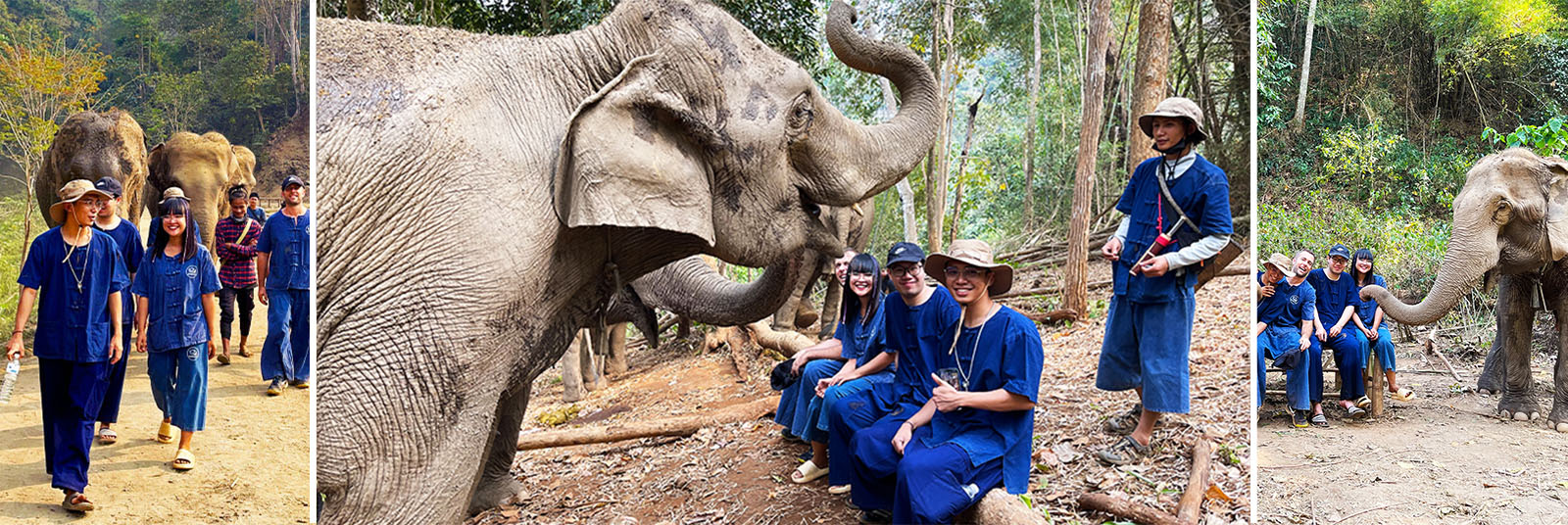 Fotos de paseos en el santuario de elefantes Changland en Tailandia
