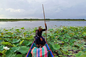 Un pescador en un barco en el humedal de Phatthalung, en el sur de Tailandia