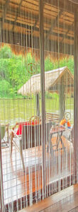Vue de la la riviere kwai depuis une chambre d'un hotel flottant en bambou au coeur de la jungle thailandaise
