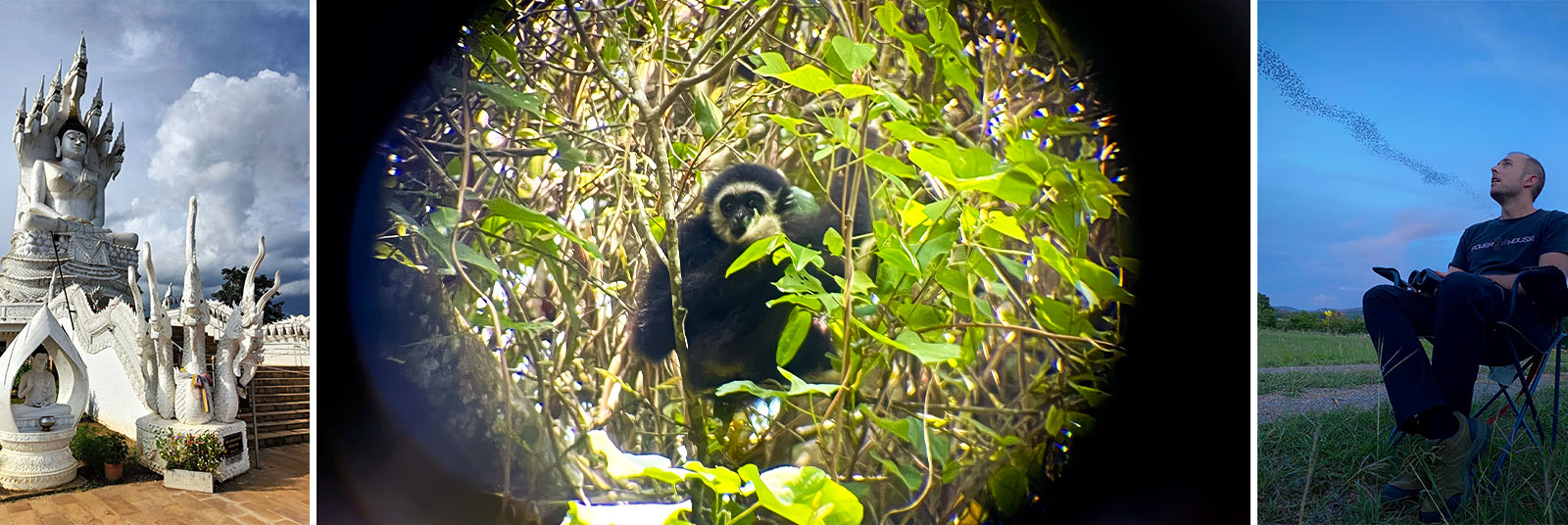 Experiencias sencillas y emocionantes en la selva tailandesa de Khao Yai