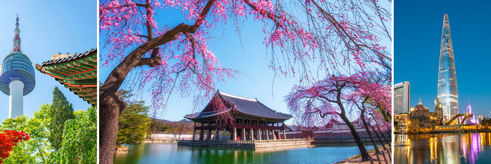 Asia My Way abre una agencia de viajes en Corea