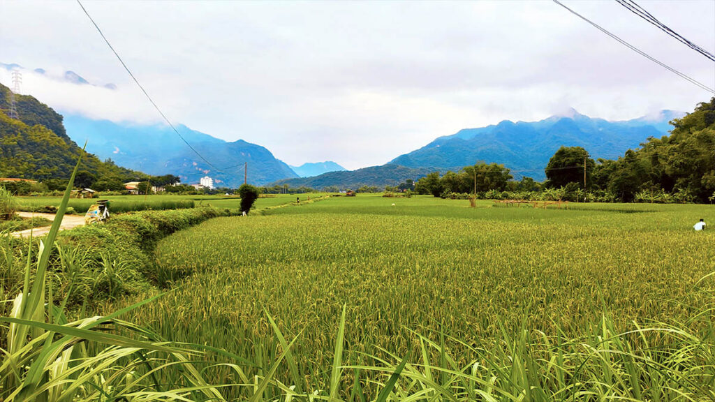 Valle de Mai Chau en Vietnam con arrozales y montañas en el norte del país