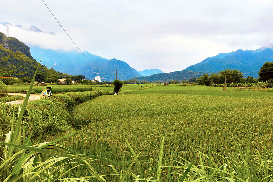 Valle de Mai Chau en Vietnam con arrozales y montañas en el norte del país