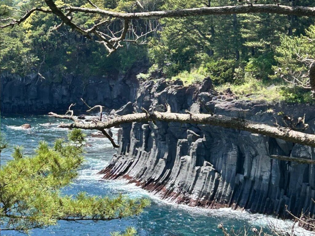 Acantilados basálticos volcánicos del Jogasaki Nature Trail en la península de Izu