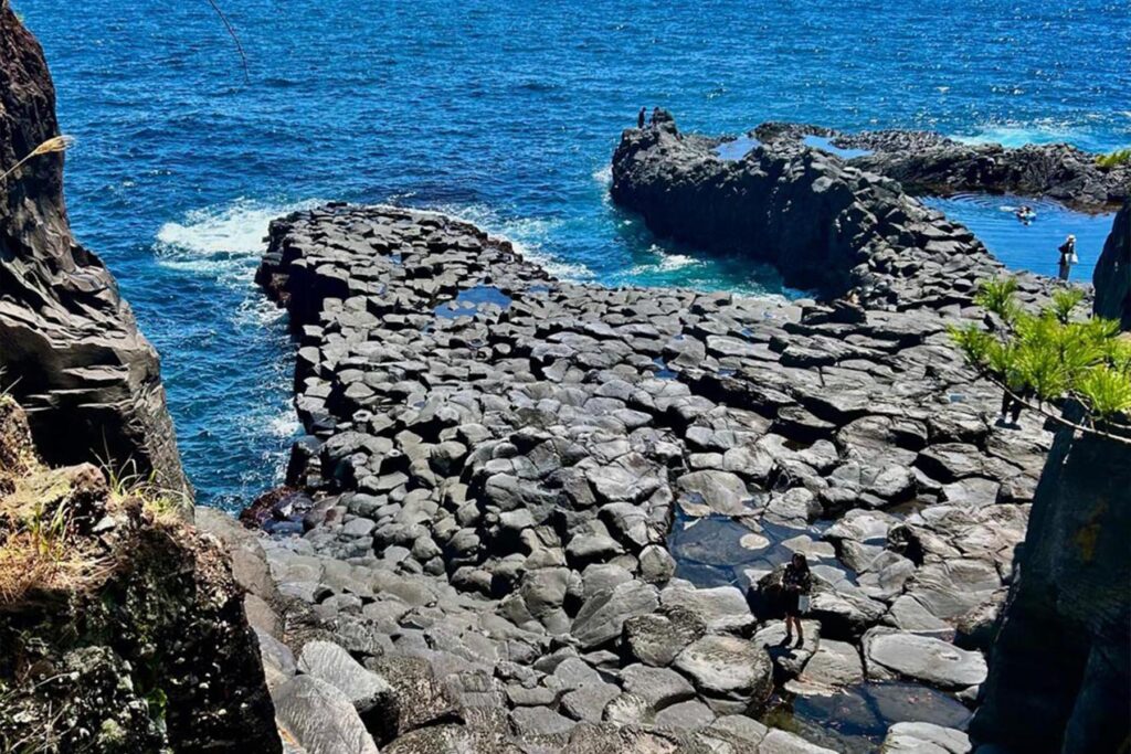 Costa rocosa de Jogasaki, en la península de Izu, Japón.