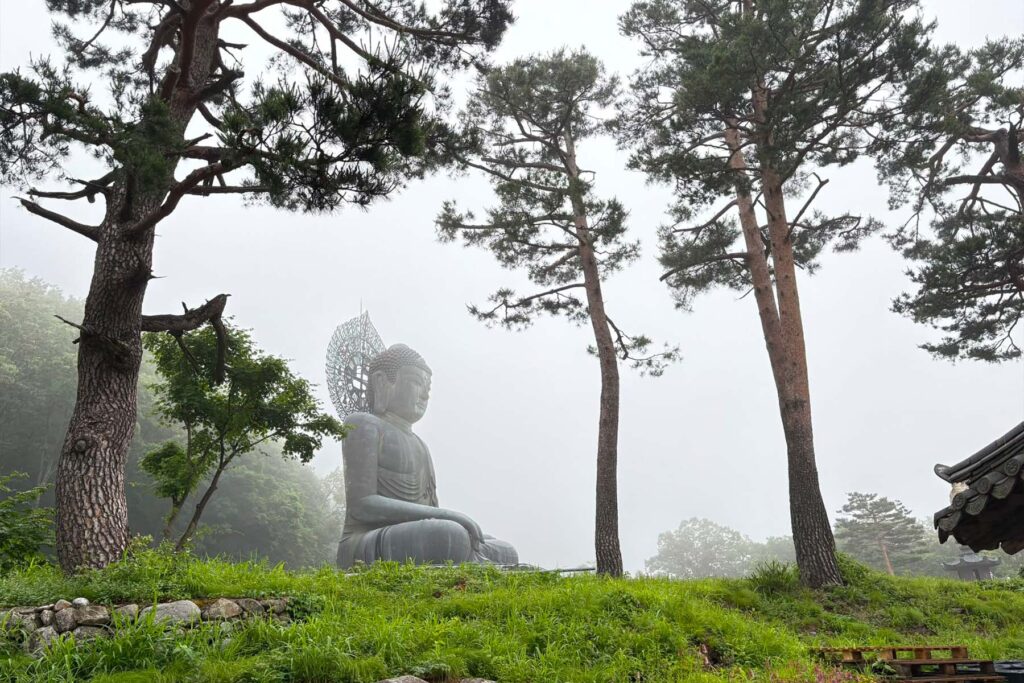 Estatua del Buda de la Gran Unificación apareciendo entre los pinos y la niebla en Sinheungsa